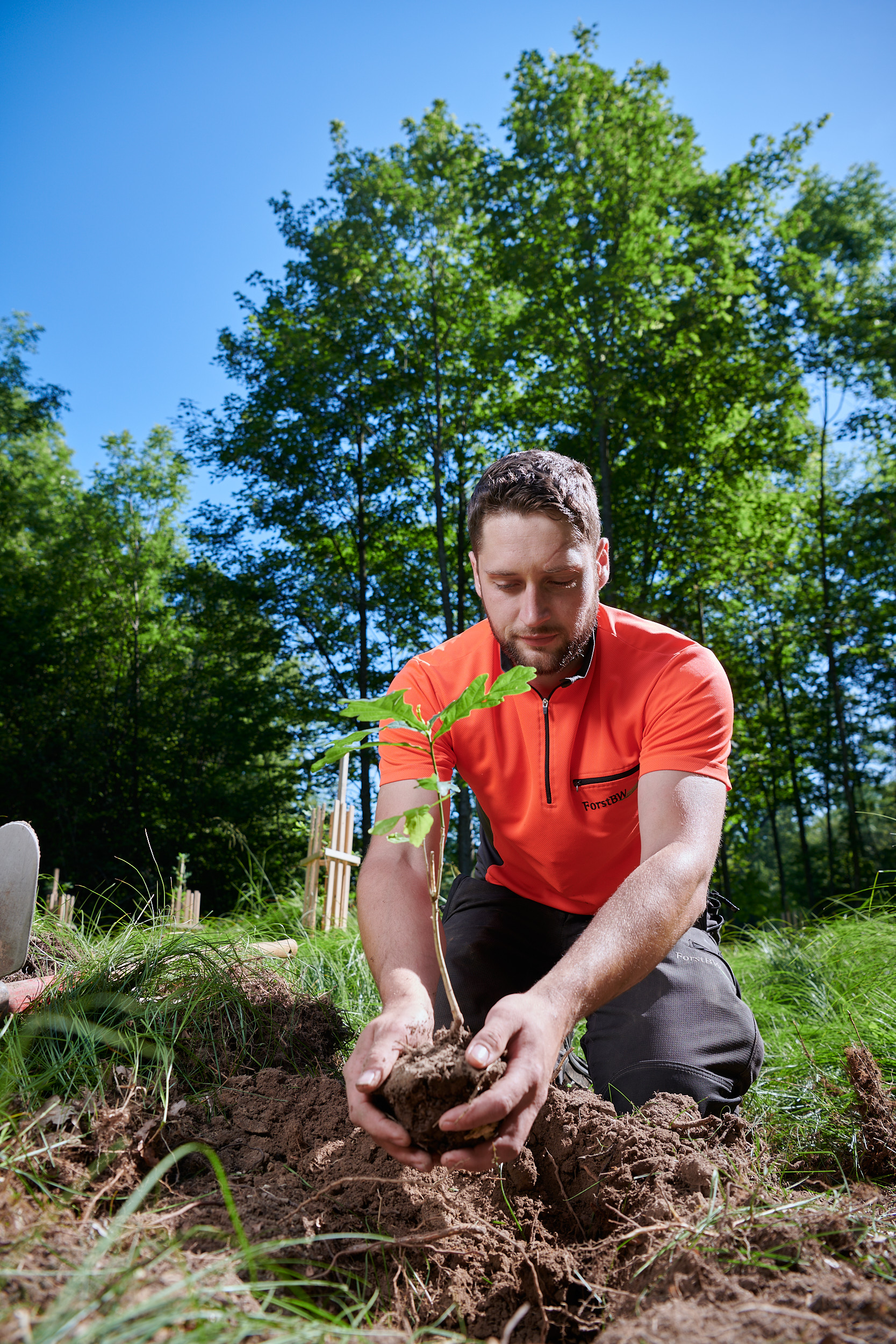 Mann mit rotem T-Shirt, der einen Baum in den Boden einpflanzt.